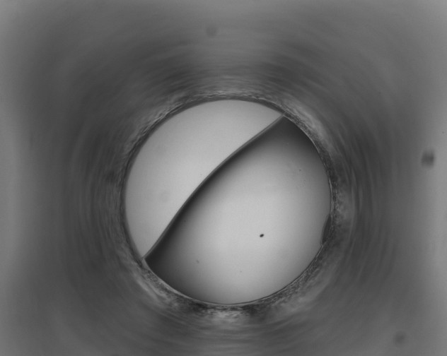 X0000097670401200802290951