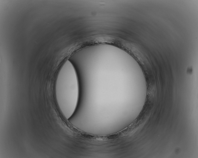 X0000097670402200802290950