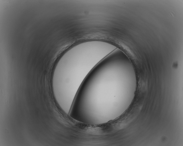 X0000097670403200802290950