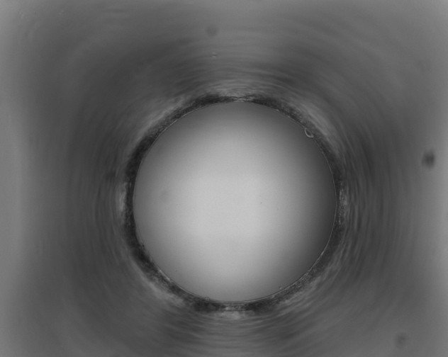 X0000097670404200802290950