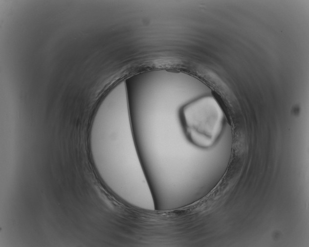 X0000097670405200802290950