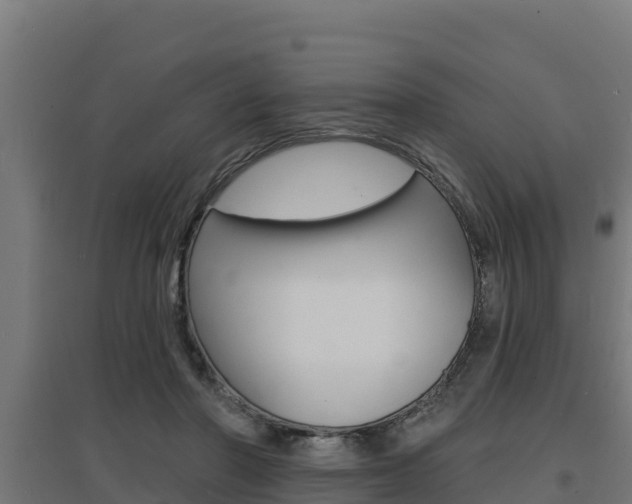 X0000097670406200802290950