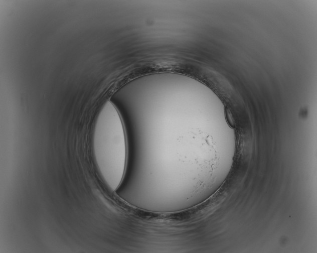 X0000097670408200802290950