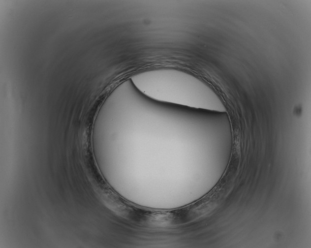X0000097670410200802290950