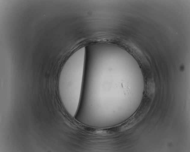 X0000097670413200802290950