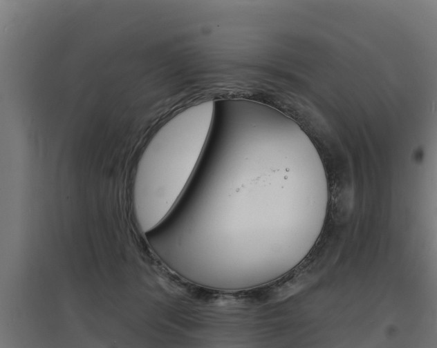 X0000097670416200802290950