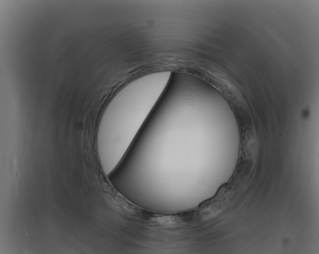 X0000097670417200802290950