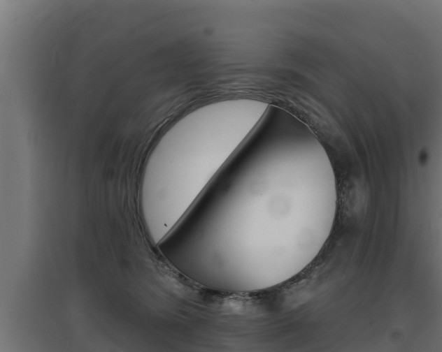 X0000097670420200802290950