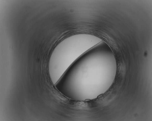 X0000097670421200802290950