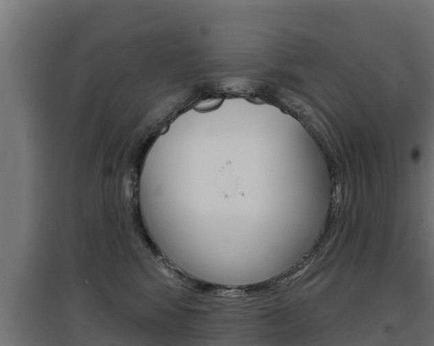 X0000097670424200802290950