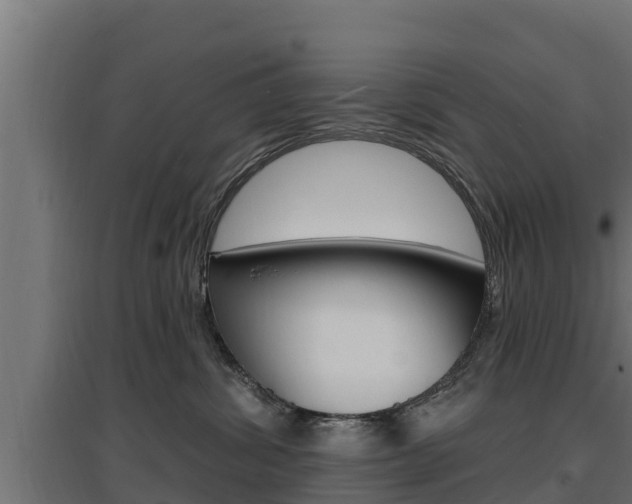 X0000097670428200802290950