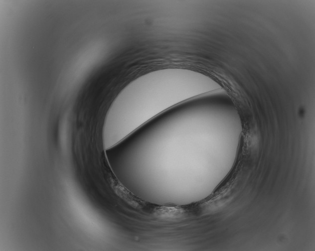 X0000097670429200802290950
