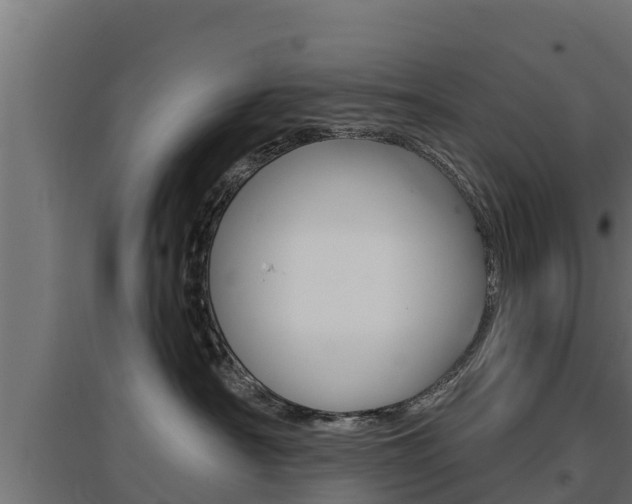 X0000097670430200802290950