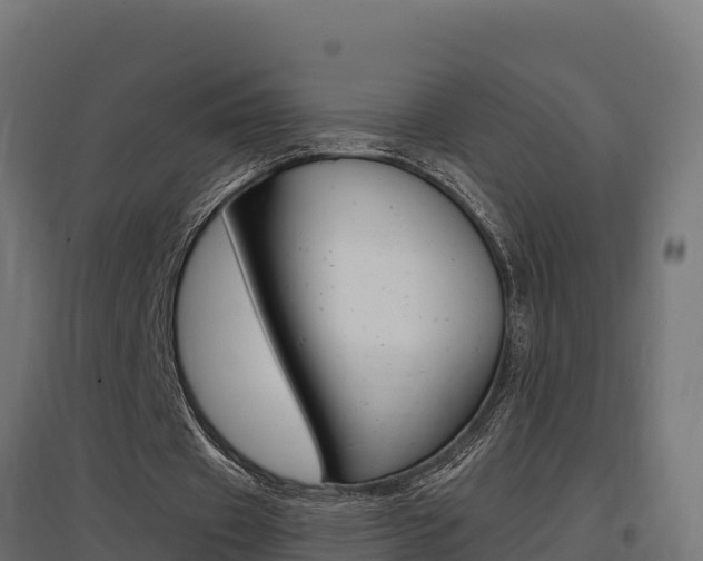 X0000097670433200802290949