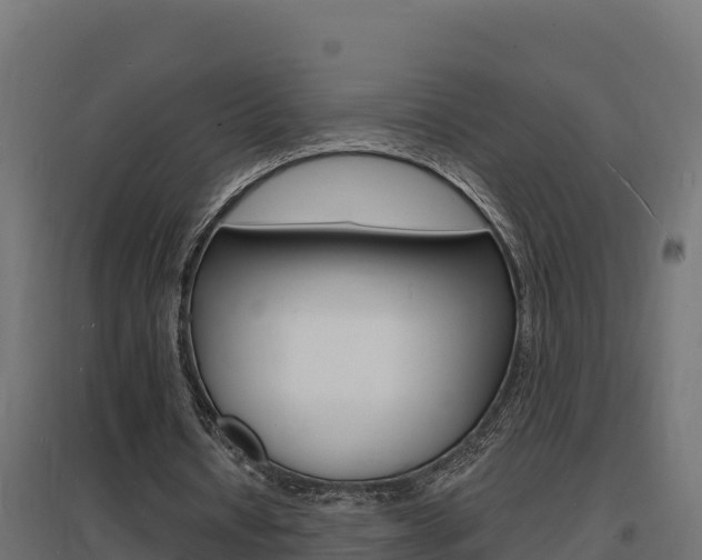 X0000097670434200802290949