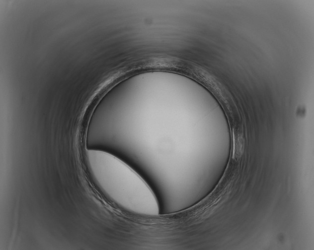 X0000097670435200802290949