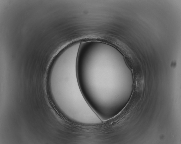 X0000097670436200802290949