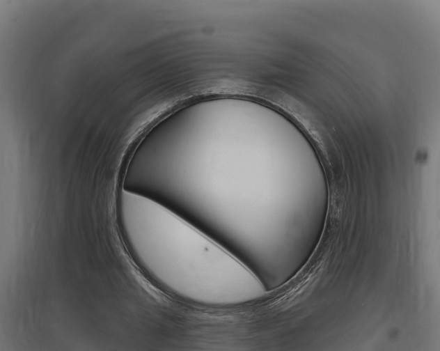 X0000097670437200802290949