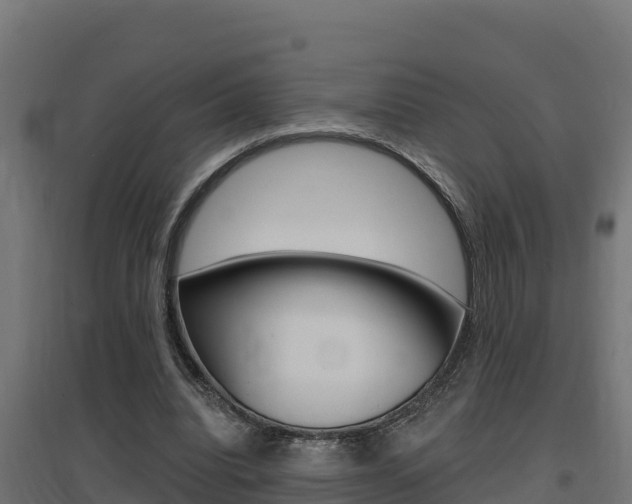 X0000097670440200802290949
