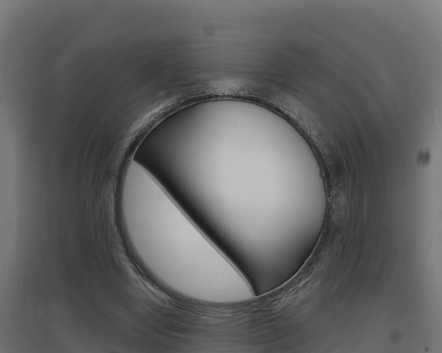X0000097670442200802290949