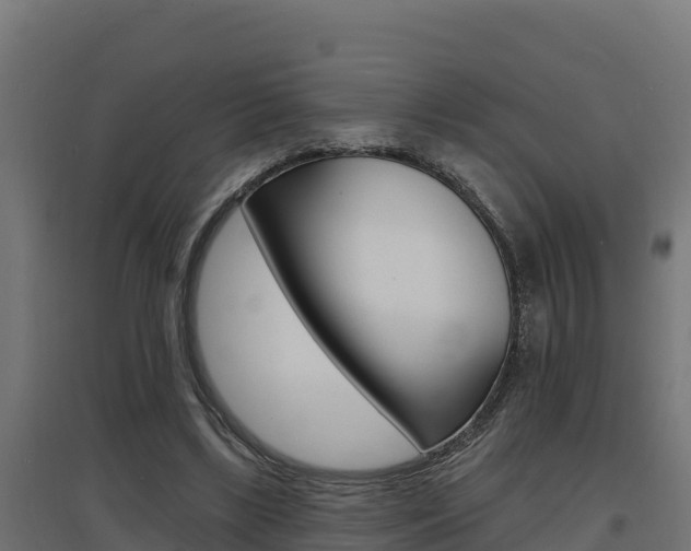 X0000097670443200802290950