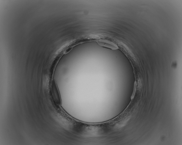 X0000097670444200802290950