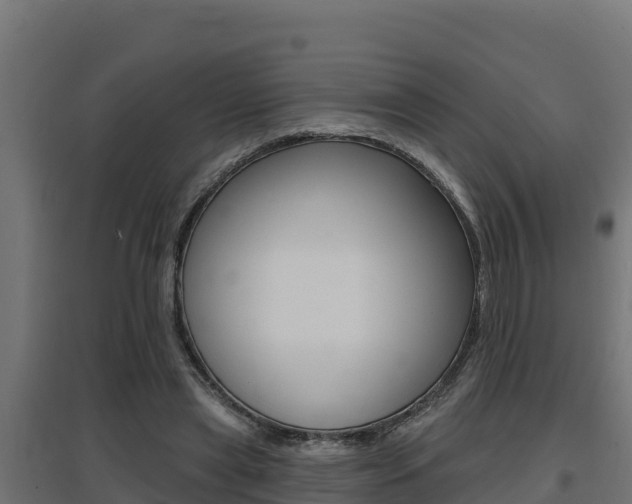 X0000097670445200802290950