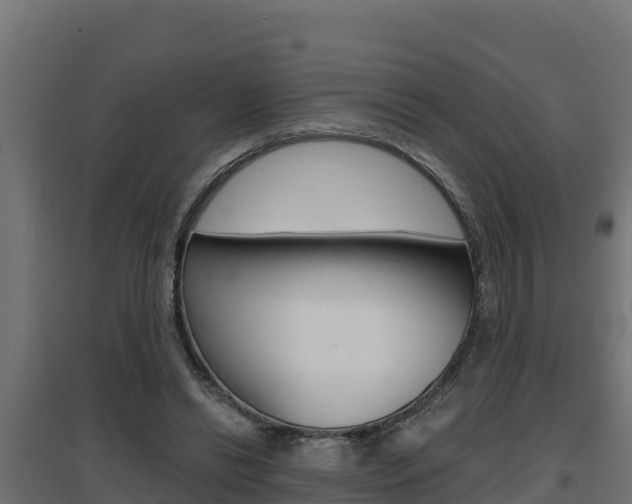 X0000097670446200802290950
