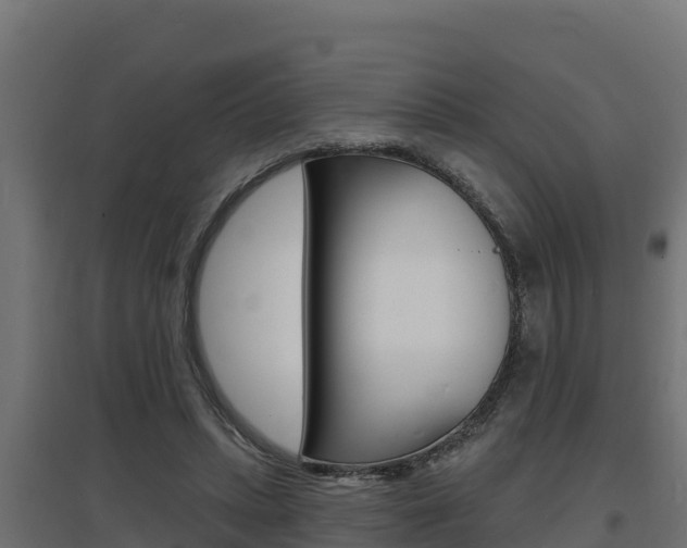 X0000097670447200802290950