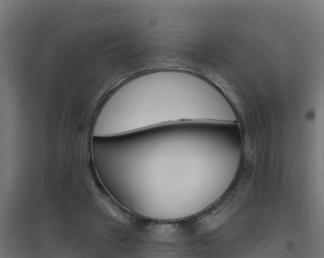 X0000097670449200802290950