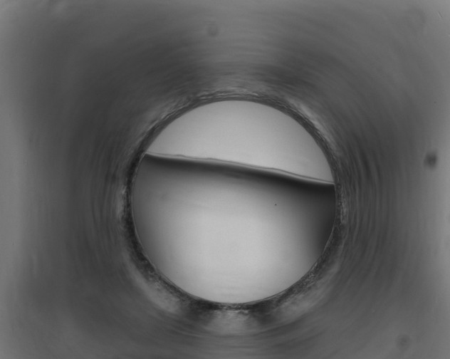 X0000097670451200802290950