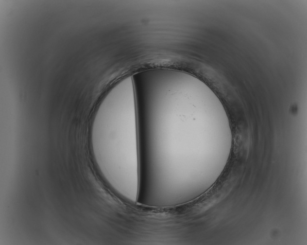 X0000097670454200802290950