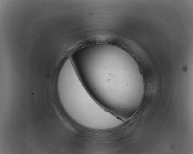 X0000097670456200802290950