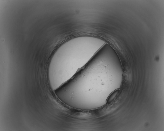 X0000097670458200802290950