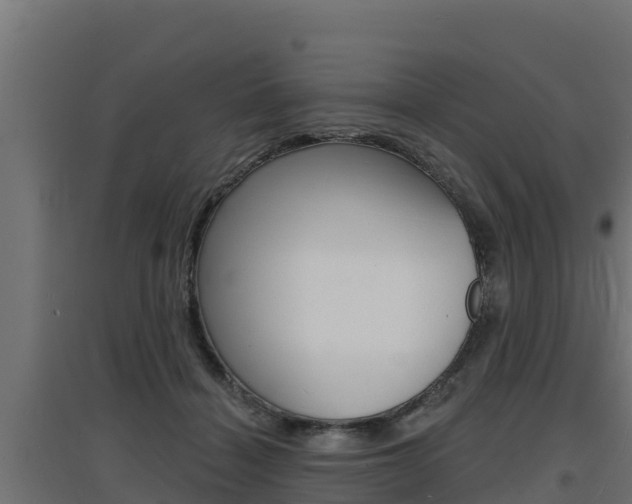 X0000097670460200802290950