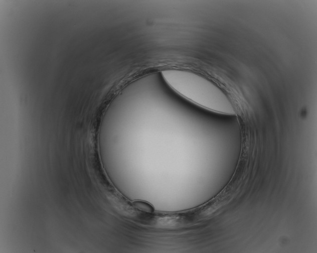 X0000097670461200802290950