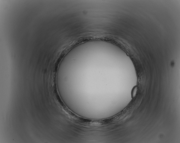 X0000097670462200802290950