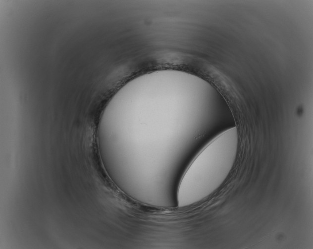 X0000097670463200802290950