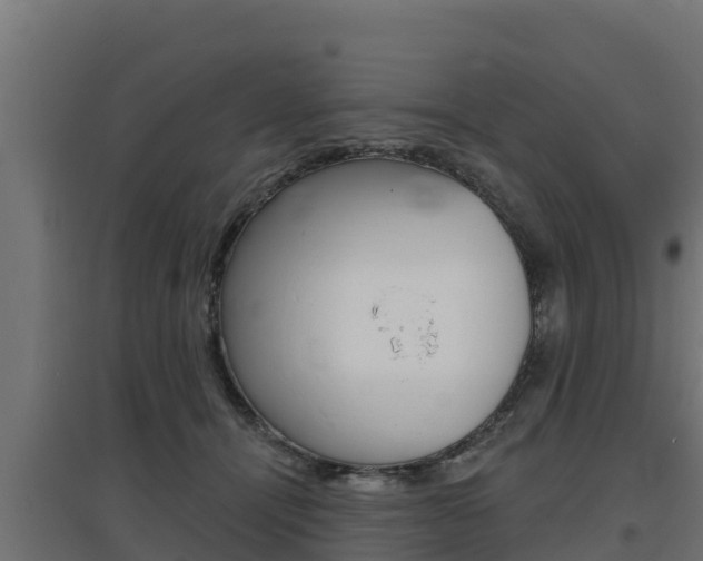 X0000097670464200802290950