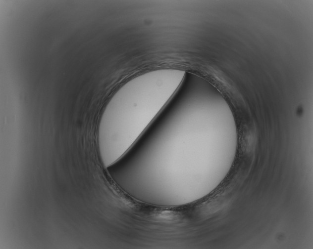 X0000097670467200802290950