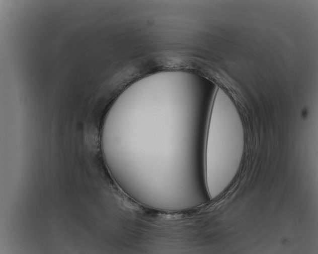 X0000097670469200802290950