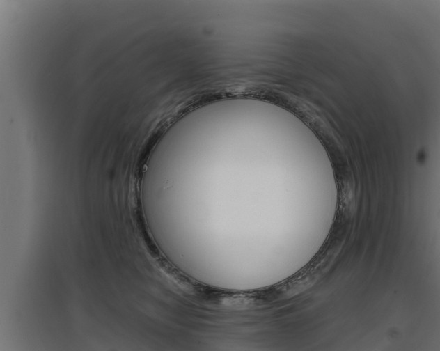 X0000097670470200802290950