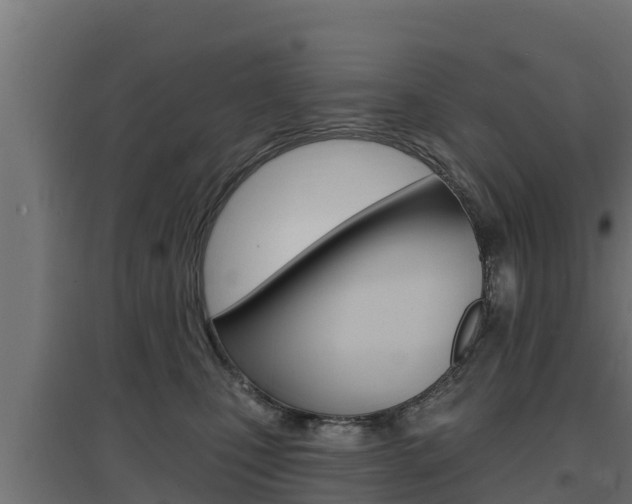 X0000097670471200802290950