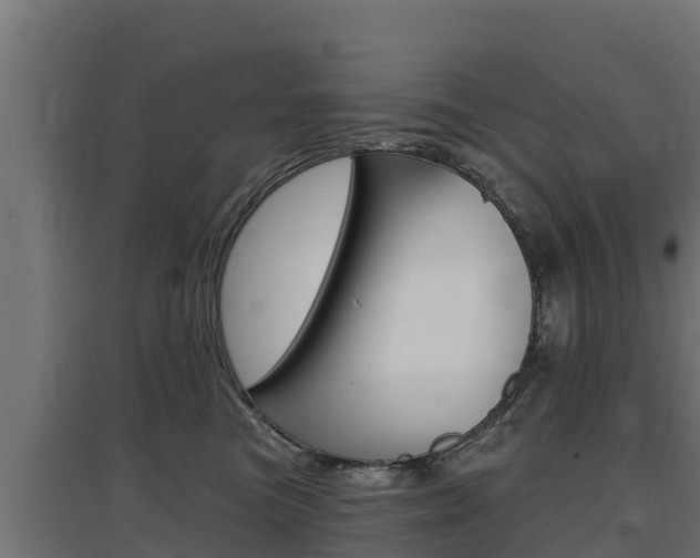 X0000097670473200802290950