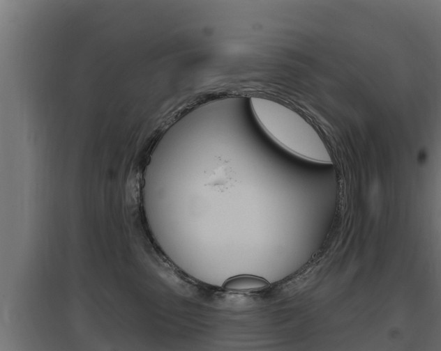 X0000097670475200802290950
