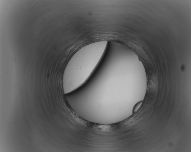 X0000097670478200802290950