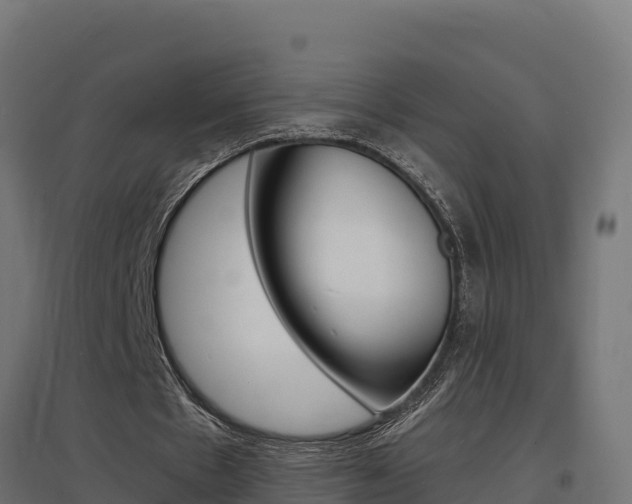 X0000097670481200802290949