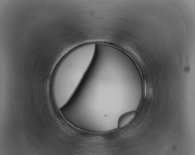 X0000097670483200802290949