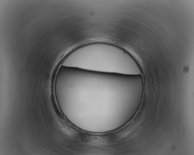 X0000097670486200802290949