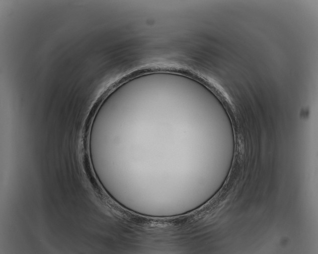 X0000097670487200802290949